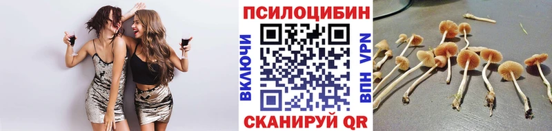 блэк спрут   Афипский  Галлюциногенные грибы GOLDEN TEACHER 